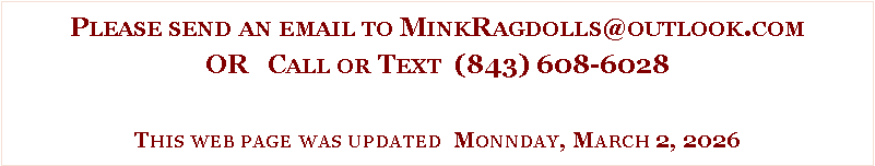 Text Box: Please send an email to MinkRagdolls@outlook.comOR   Call or Text  (843) 608-6028This web page was updated  Monnday, March 2, 2026