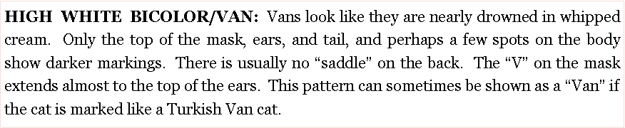 Text Box: HIGH WHITE BICOLOR/VAN: Vans look like they are nearly drowned in whipped cream.  Only the top of the mask, ears, and tail, and perhaps a few spots on the body show darker markings.  There is usually no �saddle� on the back.  The �V� on the mask extends almost to the top of the ears.  This pattern can sometimes be shown as a �Van� if the cat is marked like a Turkish Van cat.  