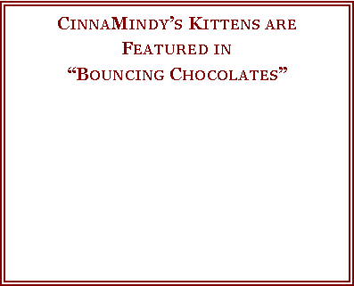 Text Box: CinnaMindy�s Kittens are Featured in�Bouncing Chocolates� 