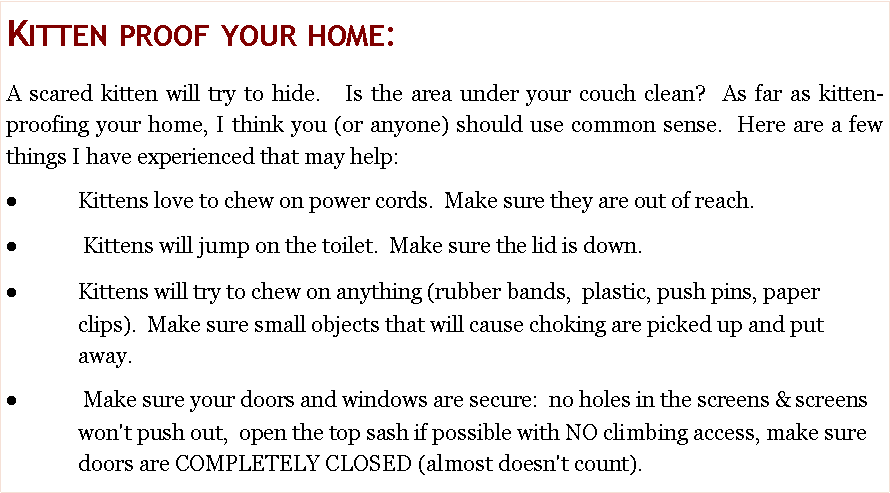 Text Box: Kitten proof your home: A scared kitten will try to hide. &nbsp; Is the area under your couch clean?&nbsp;&nbsp;As far as kitten-proofing&nbsp;your home, I think you (or anyone) should use common sense. &nbsp;Here are a few things I have experienced that may help:Kittens love to chew on power cords. &nbsp;Make sure they are out of reach. &nbsp;Kittens will jump on the toilet. &nbsp;Make sure the lid is down.Kittens will try to chew on anything (rubber bands,  plastic, push pins,&nbsp;paper clips). &nbsp;Make sure small objects that will cause choking are picked up and put away. &nbsp;&nbsp;Make sure your doors and windows are secure: &nbsp;no holes in the screens & screens won't push out, &nbsp;open the top sash if possible with NO climbing&nbsp;access, make sure doors are COMPLETELY CLOSED (almost doesn't count).