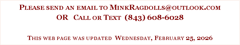 Text Box: Please send an email to MinkRagdolls@outlook.comOR   Call or Text  (843) 608-6028This web page was updated  Wednesday, February 25, 2026