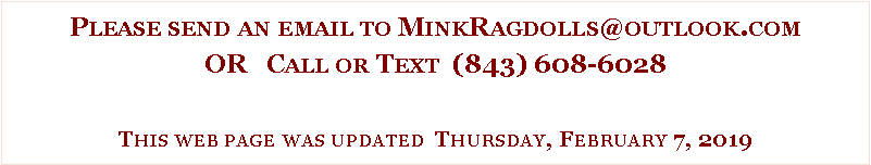 Text Box: Please send an email to MinkRagdolls@outlook.comOR   Call or Text  (843) 608-6028This web page was updated  Thursday, February 7, 2019