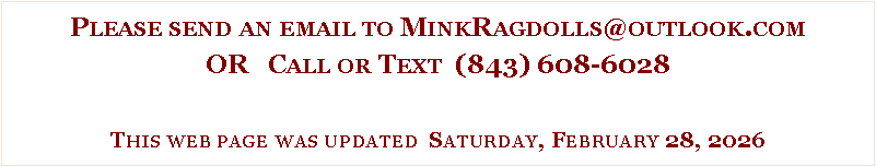 Text Box: Please send an email to MinkRagdolls@outlook.com
OR Call or Text (843) 608-6028
This web page was updated Saturday, February 28, 2026