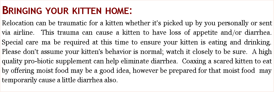 Text Box: Bringing your kitten home: Relocation can be traumatic for a kitten whether it�s picked up by you personally or sent via airline.  This trauma can cause a kitten to have loss of appetite and/or diarrhea.   Special care ma be required at this time to ensure your kitten is eating and drinking.  Please don�t assume your kitten's behavior is normal; watch it closely to be sure.  A high quality pro-biotic supplement can help eliminate diarrhea.  Coaxing a scared kitten to eat by offering moist food may be a good idea, however be prepared for that moist food  may temporarily cause a little diarrhea also.  