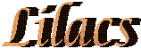 Lilacs