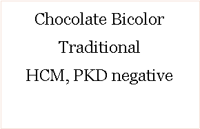 Text Box: Chocolate Bicolor 
Traditional HCM, PKD negative 