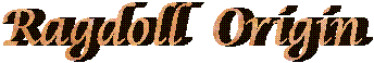 Ragdoll  Origin
