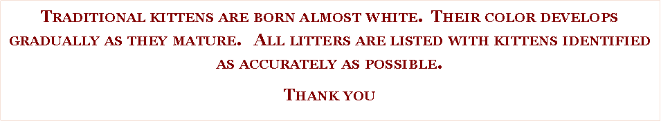 Text Box: Traditional kittens are born almost white.  Their color develops gradually as they mature.   All litters are listed with kittens identified as accurately as possible.  Thank you 