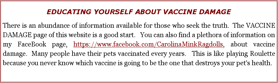 Text Box: EDUCATING YOURSELF ABOUT VACCINE DAMAGEThere is an abundance of information available for those who seek the truth.  The VACCINE DAMAGE page of this website is a good start.   You can also find a plethora of information on  my FaceBook page, https://www.facebook.com/CarolinaMinkRagdolls, about vaccine damage.  Many people have their pets vaccinated every years.   This is like playing Roulette because you never know which vaccine is going to be the one that destroys your pets health. 