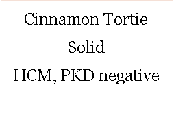 Text Box: Cinnamon Tortie Solid HCM, PKD negative 